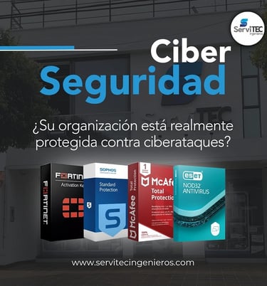Soluciones de ciberseguridad para protección de redes y datos empresariales