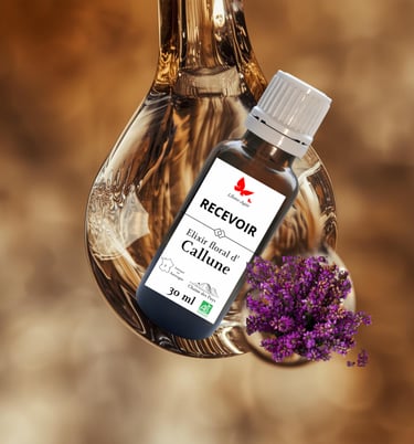 Flacon d'élixir floral de callune "Recevoir" présentée dans sa goutte d'eau et son bouquet de fleurs