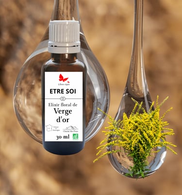 Flacon d'élixir floral de verge d'or " etre soi" logo l'Âme-Agie dans sa goutte d'eau + fleurs