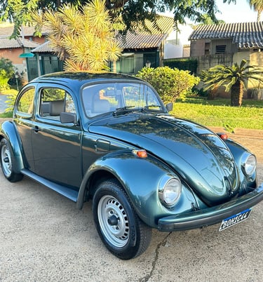 Old Car Vistorias de carros antigos