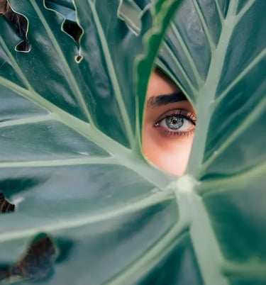 Discover Timeless Beauty in the Heart of Edmonton at Ariana Esthetics