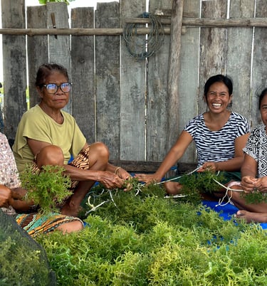 women smiling while they harvesting seaweed