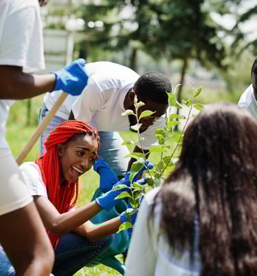 Volunteers planting trees