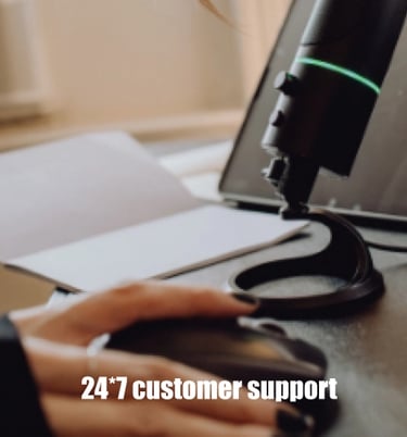 ProLingo Editors translation Services