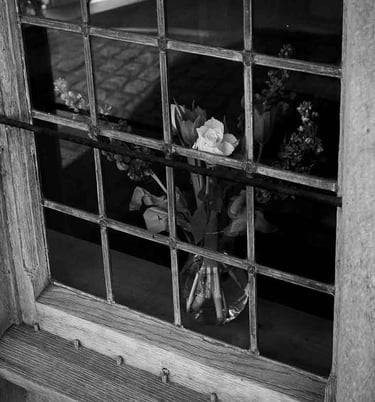 A picture of a white flower standing on the windowsill. Creator: Slawek Dejneka