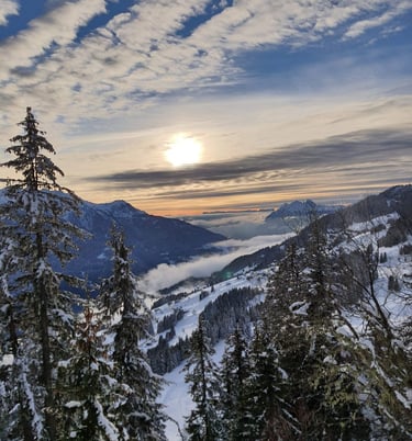 Une belle vue depuis le cabinet ou pratique Edyta Vorilhon.