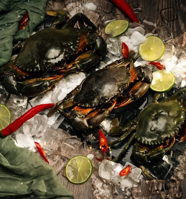 seamorny - vietnamese crab supplier