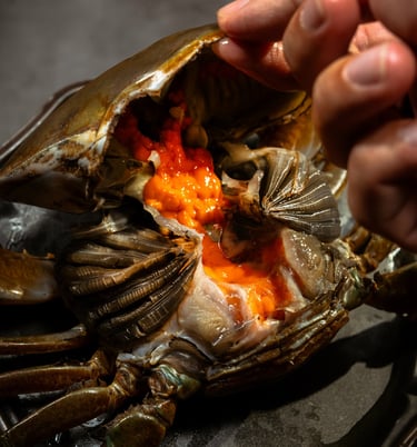 seamorny - vietnamese crab supplier