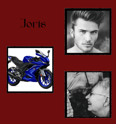 Joris, personnage de "A nos vies égarées" de Farah D.