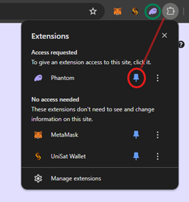 Solana Phantom Wallet  pin extension