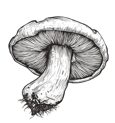 Black Pencil Mushroom by Sezer Ali