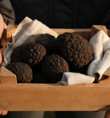 trufalab trufa negra 