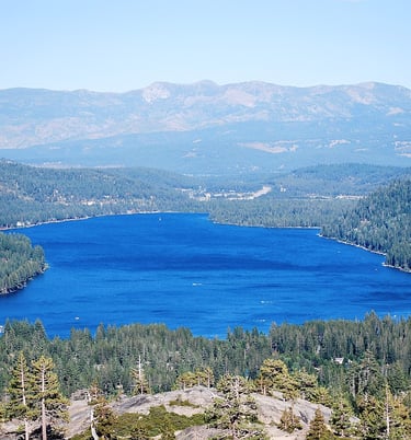25 Best Dog Friendly Beaches & Trails: North Lake Tahoe, CA