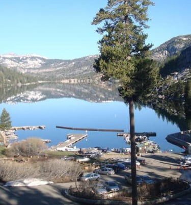 25 Best Dog Friendly Beaches & Trails: North Lake Tahoe, CA