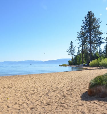 25 Best Dog Friendly Beaches & Trails: North Lake Tahoe, CA