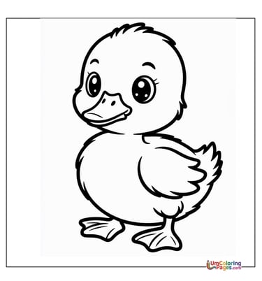 duckling coloring page for kids
