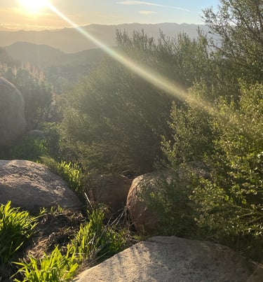 “A mountain view from Fallbrook, California — a moment of stillness that reminds us how creativity f