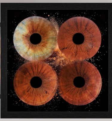 Tableau verre acrylique avec 4 iris et boite américaine