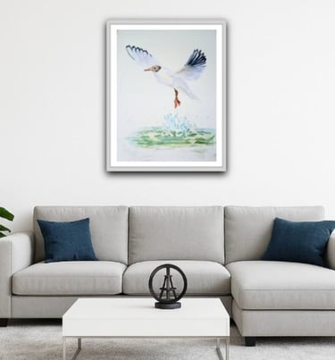 Black headed Gull original in a mock frame