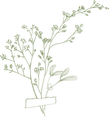 feuillage vert amande