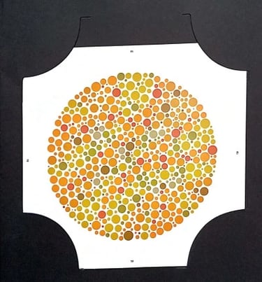 colour vision book hidden digit plate 2