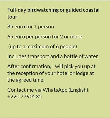Flyer full-day birdwatching or guided coastal tour in Gambia. Price €85 for 1 person or €65 per pers