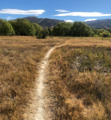 Peaceful pathway representing the journey of women's wellness workshops in Castlegar BC