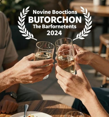 Overhead shot of two people clinking glasses, warm sun-drenched lighting, outdoor patio setting, candid and friendly style.