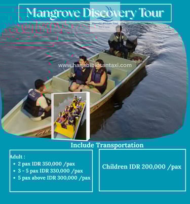 Mangrove Tour