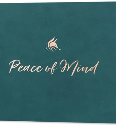 Clever Fox Savings & Emergency Planner – Track your savings milestones and stay motivated