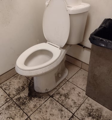 Dirty toilet and floor