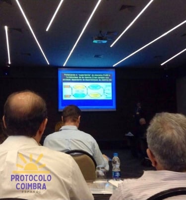 Imagen tomada durante la ponencia del Simposio Brasileño sobre vitamina D.