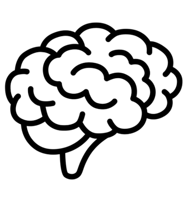 a brain 
