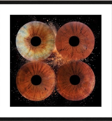 Tirage photo de quatre iris en percussion poussière avec un cadre noir