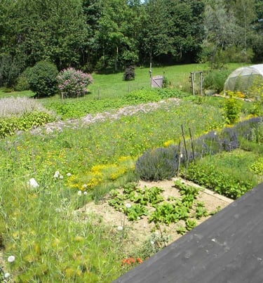 micro perma culture jardin naturopathe naturel Pause Ô Logis Mayenne Coêvrons
