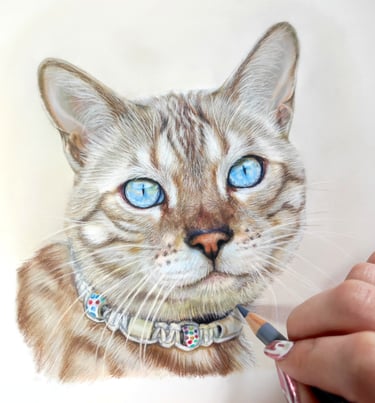 a pastel drawing of a bengal cat