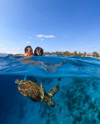 a man swimming in the ocean with a turtle in gili trawangan
