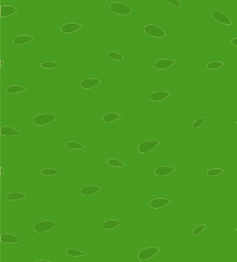 Pattern Jideria