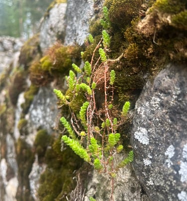 Mały nie znaczy słaby