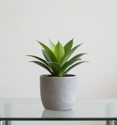 A small minimalist plant in a grey pot #A7C5C3, sitting on a glass table. The background is a clean, out-of-focus wall in #F0F4F4. Professional studio photography style.