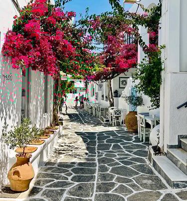 Rue pavée dans le village de Naoussa, Paros