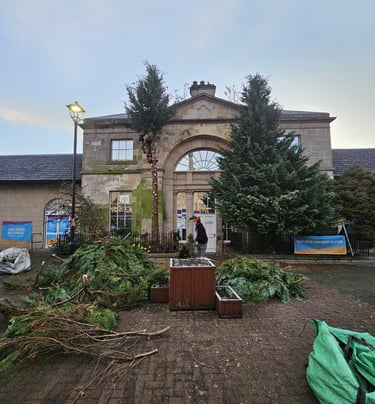 property maintenance