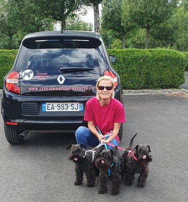 Voiture des Diamants Noirs d'Also