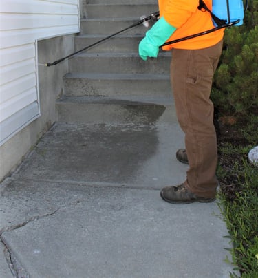 how to keep bugs out of house