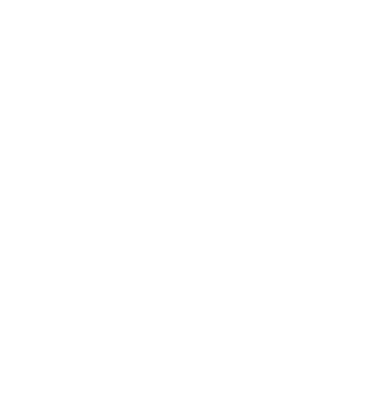 checkmark-icon