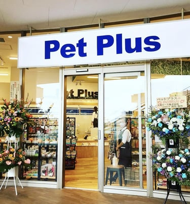 Neustra collaboracion