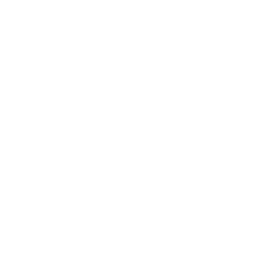 Styling Icon