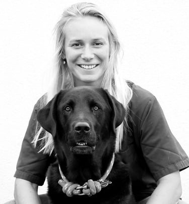 vet à biganos docteure carlier