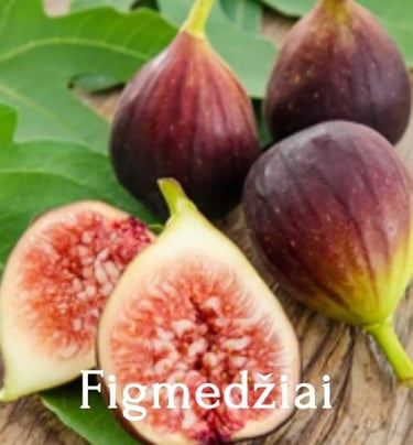 Figmedžiai