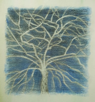 A partner to the previous drawing, this depicts the same tree in evening hours